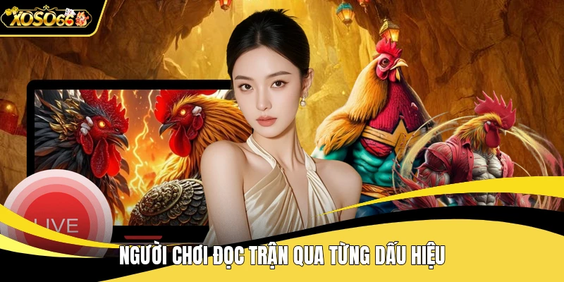 Người chơi đọc trận qua từng dấu hiệu